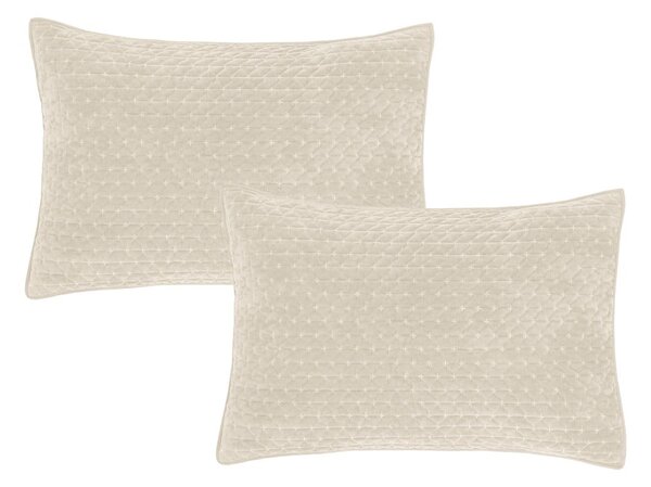 Federe decorative in set in velluto 2 pz 50x75 cm Attica Velvet Embroidered – Bianca