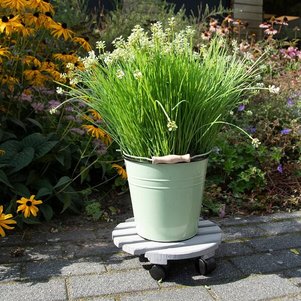 Supporto rotante per vaso in legno ø 29 cm (altezza totale 8 cm) Indoor & Outdoor – Esschert Design