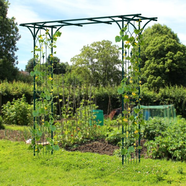 Costway Arco da giardino 205cm decorativo per prato, Metallo per piante rampicanti da giardino pesante Verde