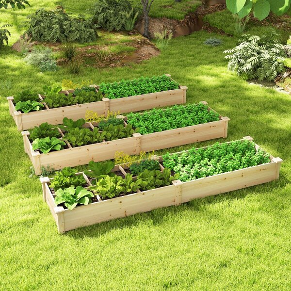 Costway Lettino da giardino elevato in legno con 2 scatole per piante e separatori, Letto da giardino elevato per fiori verdure frutta e erbe Naturale