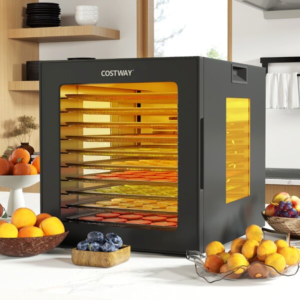 Costway Disidratatore per cibo essiccatore in acciaio inox con 10 vassoi, Macchina essiccatore con 10 programmi preimpostati timer 48 ore e temperatura da 30-75 Nero