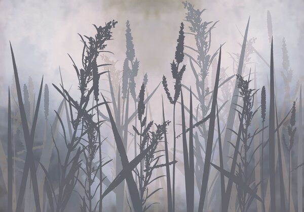 Carta da parati Erba alta nella nebbia, Carta da parati Natura, Carta da parati popolare, t00996v2 - Tapeko.it