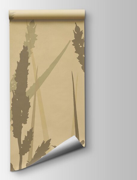 Carta da parati Erba alta in un campo avvolto dalla nebbia, Carta da parati Natura, Carta da parati popolare, t00996 - Tapeko.it