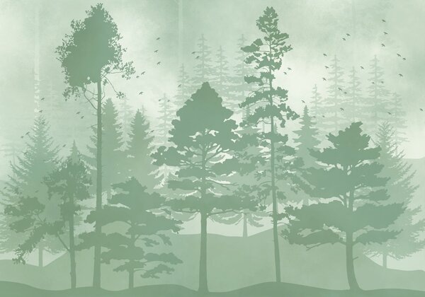 Carta da parati Gruppo di alberi in una foresta, Carta da parati Natura, Carta da parati popolare, t01007v1 - Tapeko.it