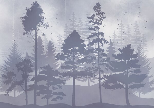 Carta da parati Gruppo di alberi in una foresta avvolta dalla nebbia, Carta da parati Natura, Carta da parati popolare, t01007v4 - Tapeko.it