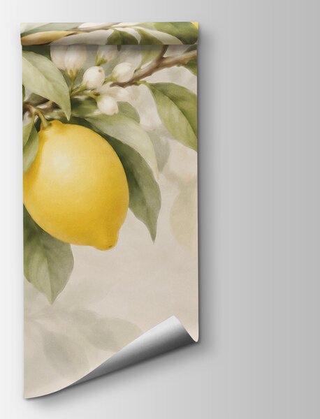 Carta da parati Limoni su un ramo di un albero, Carta da parati Cibo e bevande, Carta da parati popolare, t01025 - Tapeko.it