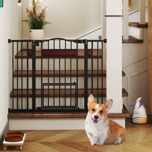 Costway Cancello per cani espandibile in metallo per ingressi con porta piccola, Cancello per animali extra largo Nero