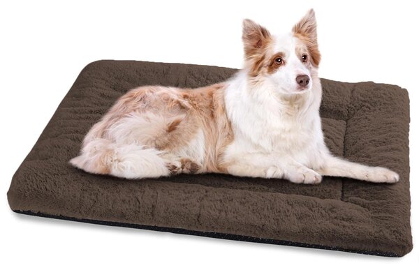 Omgoods - Ciotola portatile grande per cani, con fondo antiscivolo e rivestimento lavabile