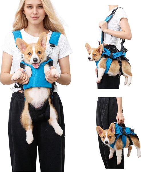Trasportino multifunzione 5-in-1 per gatti e cani di piccola taglia, utilizzabile anche come zaino