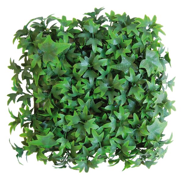 Siepe artificiale Edera Divy 3D in polietilene, verde H 0.5 m x L 0.5 m