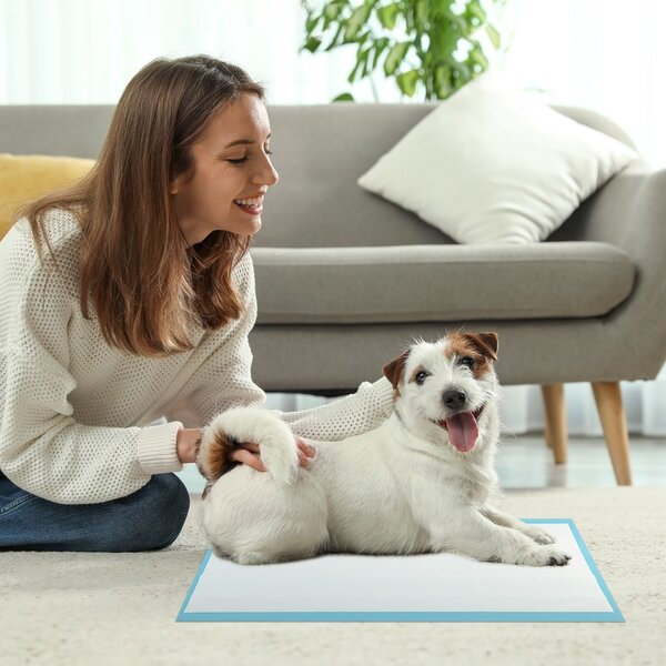 Costway Tappetini per animali domestici a 6 strati a prova di perdite, Asciugatura rapida tappetini da interno ed esterno 60 x 43 cm Blu