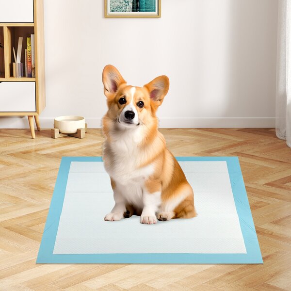 Costway Tappetini per animali domestici a 6 strati a prova di perdite, Asciugatura rapida tappetini da interno ed esterno 76 x 76 cm Blu
