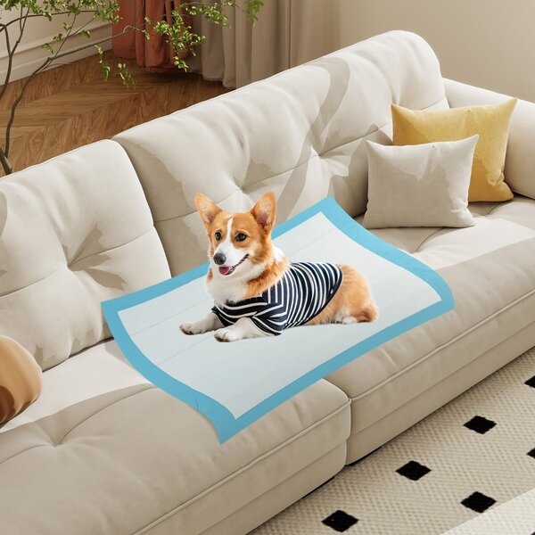 Costway Tappetini per animali domestici a 6 strati a prova di perdite, Asciugatura rapida tappetini da interno ed esterno 90 x 60 cm Blu
