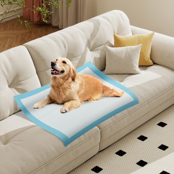 Costway Tappetini per animali domestici a 6 strati a prova di perdite, Asciugatura rapida tappetini da interno ed esterno 90 x 90 cm Blu