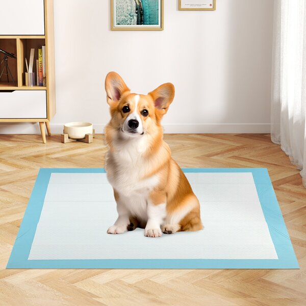 Costway Tappetini per animali domestici a 6 strati a prova di perdite, Asciugatura rapida tappetini da interno ed esterno 90 x 60 cm Blu