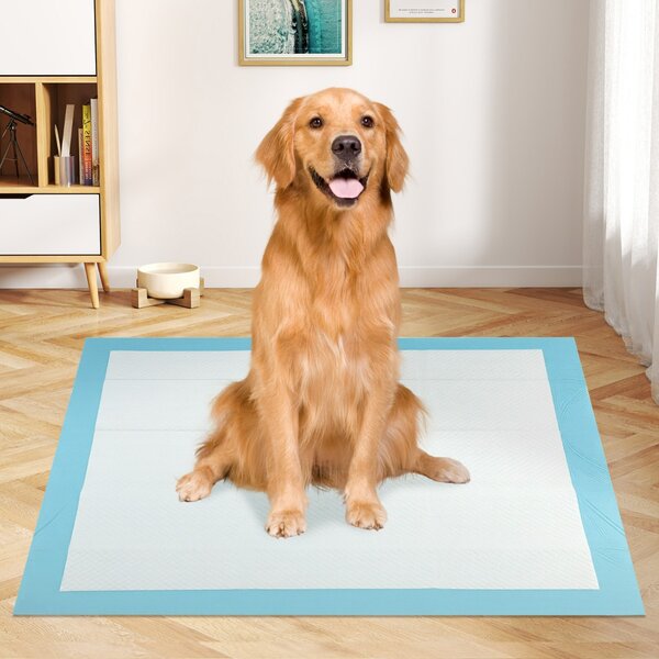 Costway Tappetini per animali domestici a 6 strati a prova di perdite, Asciugatura rapida tappetini da interno ed esterno 90 x 90 cm Blu