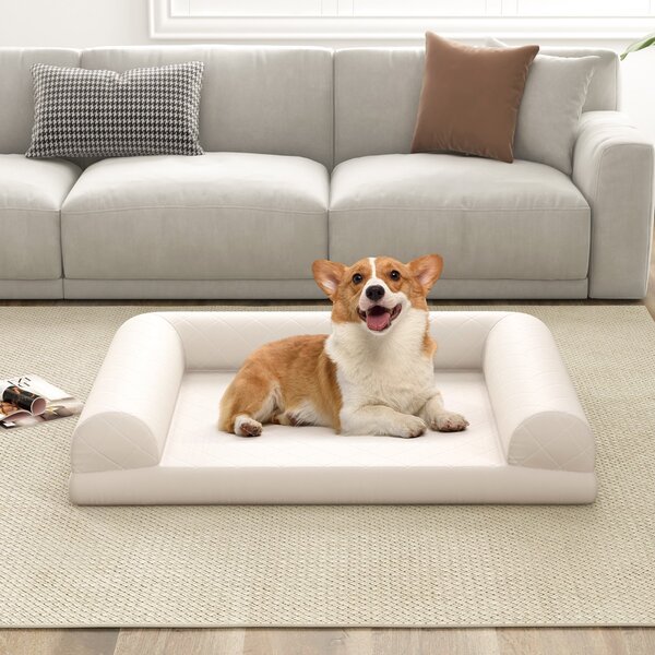 Costway Letto per cani in schiuma con bordi a 3 lati copertura rimovibile e lavabile, Cuccia per cani di taglia media e piccola Beige