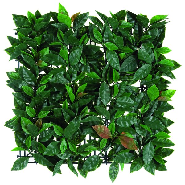 Parete verde artificiale Photinia 3D in polietilene, verde H 0.5 m x L 1 m