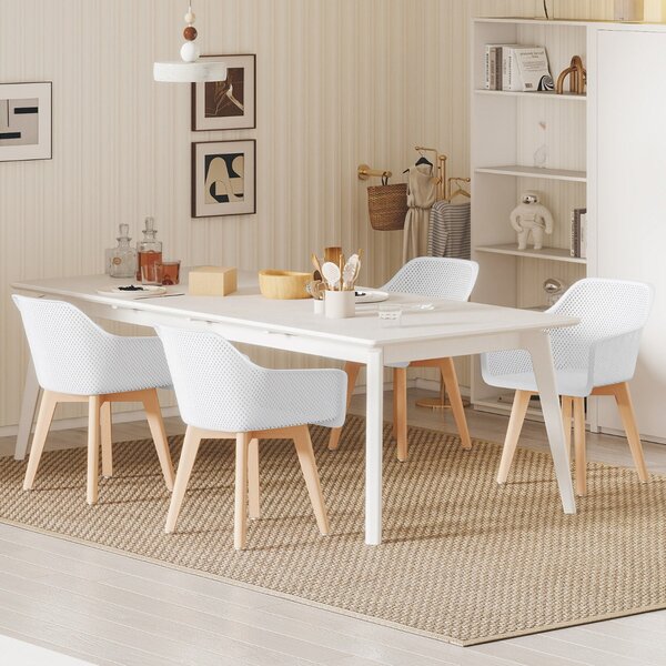 Costway Set di sedie da pranzo moderne in plastica da 2 pezzi con gambe in legno, Sedie da pranzo per sala da pranzo