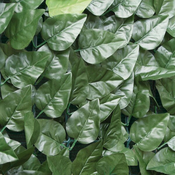 Parete verde artificiale lauro in poliestere, verde H 1.5 m x L 3 m