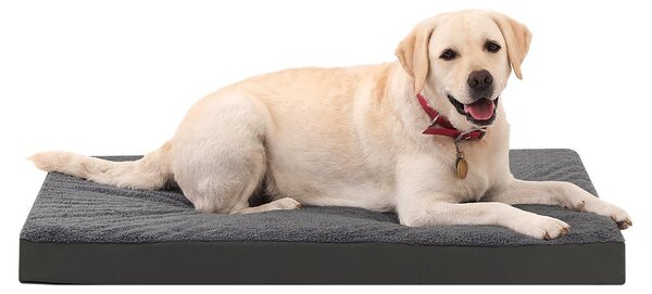 Omgoods - Cuccia ortopedica per cani, impermeabile e lavabile, con coprimento removibile