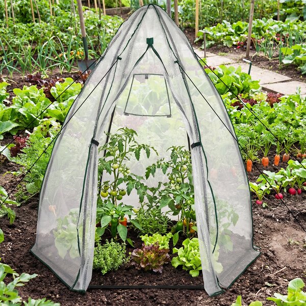 Costway Mini serra portatile pe bolle pesante porta cerniera finestra rete pavimento, Serra cupola piccola esterno kit 160x139x182 cm