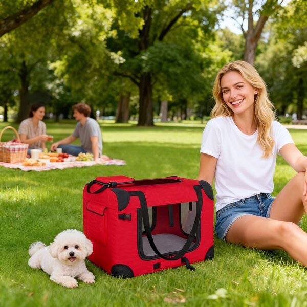PawHut Trasportino per Cani Pieghevole 60x41,5x41 cm con Finestre in Rete Cuscino Morbido e 2 Maniglie per Cani Miniatura e Gatti Rosso | Aosom Italy