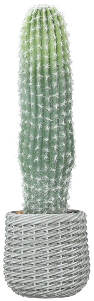 HOMCOM Cactus Artificiale 66 cm, Pianta Artificiale Decorativa con Vaso per Decorazione Interni Verde | Aosom Italy