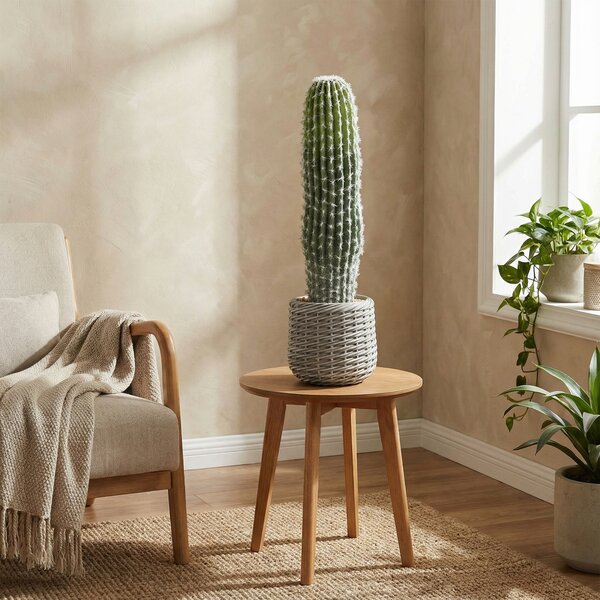 HOMCOM Cactus Artificiale 66 cm, Pianta Artificiale Decorativa con Vaso per Decorazione Interni Verde | Aosom Italy