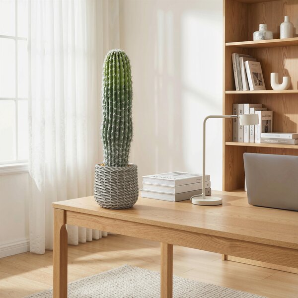 HOMCOM Cactus Artificiale 66 cm, Pianta Artificiale Decorativa con Vaso per Decorazione Interni Verde | Aosom Italy