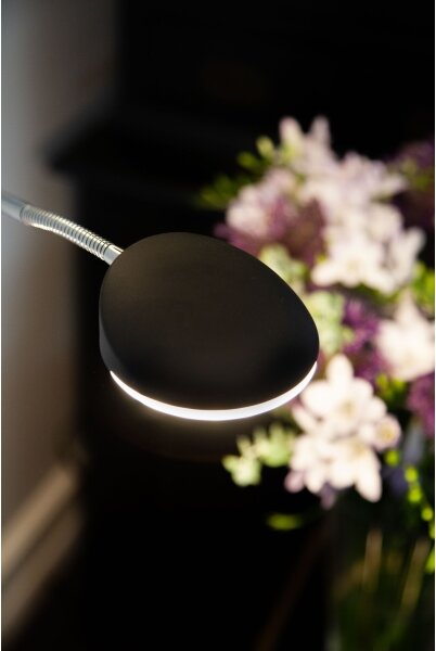 Halo Design 716067 - Lampada da terra LED dimmerabile VEGAS LED/20W/230V + LED/5W nero/cromo