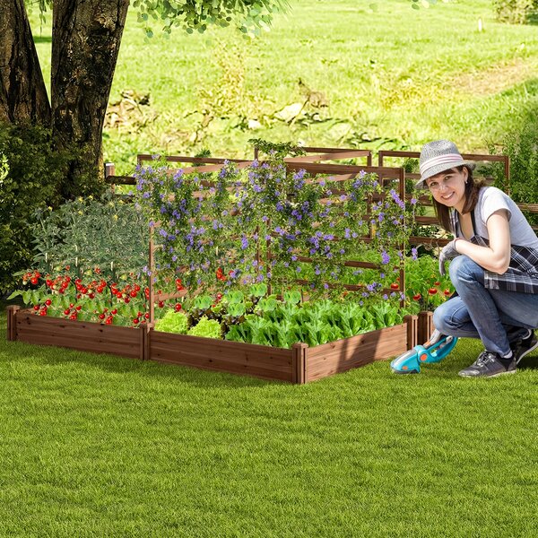 Costway Letto rialzato da giardino con 2 cassoni per piantare e 3 tralicci, Aiuola rialzata da giardino in legno Marrone