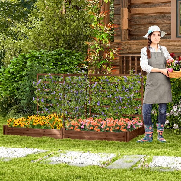Costway Letto rialzato da giardino con 2 cassoni per piantare e 3 tralicci, Aiuola rialzata da giardino in legno Marrone