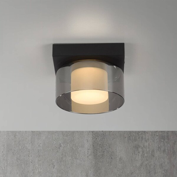 Paul Neuhaus Plafoniera a LED Rika, dimmerabile, Nero, Soggiorno / Sala da pranzo, Vetro, Moderno, Plafoniera LED
