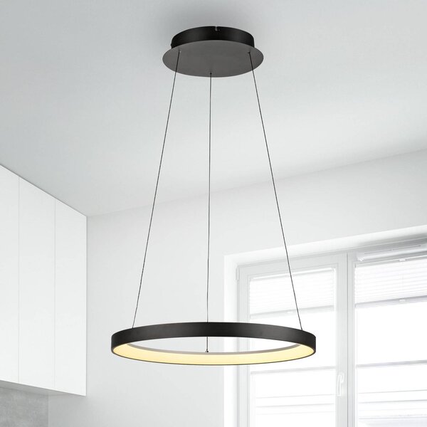 Paul Neuhaus Lampada LED a sospensione Hoop, nero, Ø 57 cm, dimmerabile, Nero, Soggiorno / Sala da pranzo, Metallo, Moderno