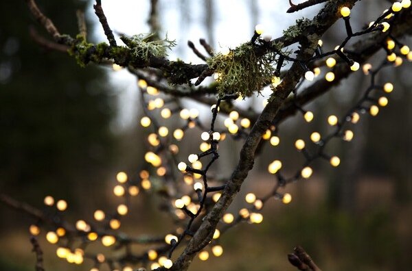 Eglo- Catena luminosa natalizia LED da esterno BERRY MINI 700xLED/8 funzioni 19m IP44 bianco caldo