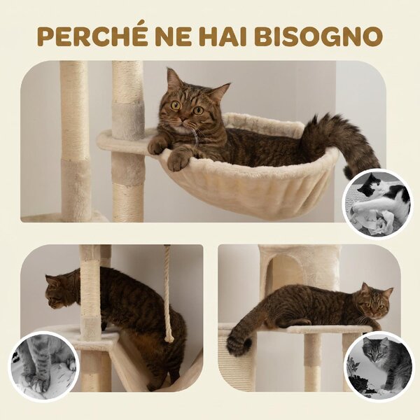 AllMyPets Albero Tiragraffi per Gatti Alto 206 cm con 4 Pali Graffiatoi Grotte Cesti Amache per 1-3 Gattini 6 kg colore Beige