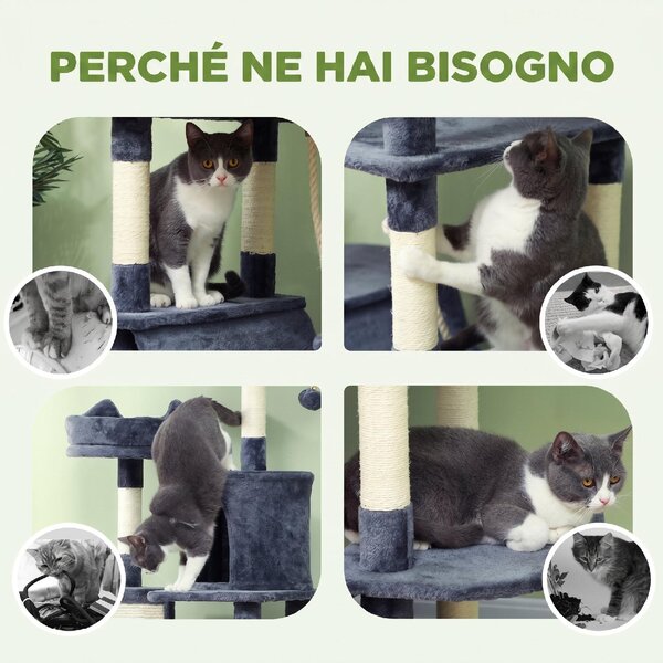 AllMyPets Albero Tiragraffi per Gatti Alto 206 cm con 4 Pali Graffiatoi Grotte Cesti Amache per 1-3 Gattini 6 kg colore Grigio Scuro