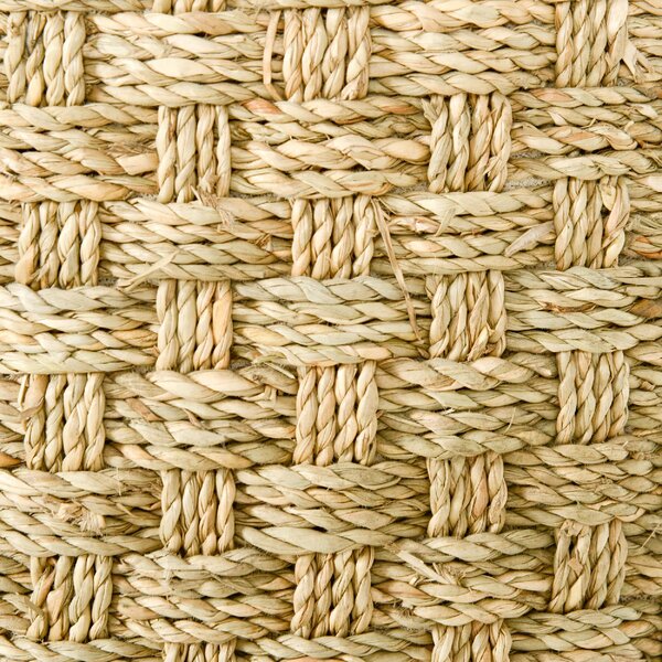 AllMyPets Albero Tiragraffi per Gatti Alto 37 cm a 2 Livelli con Nicchia e Corda in Sisal Fino a 5 kg colore Cachi