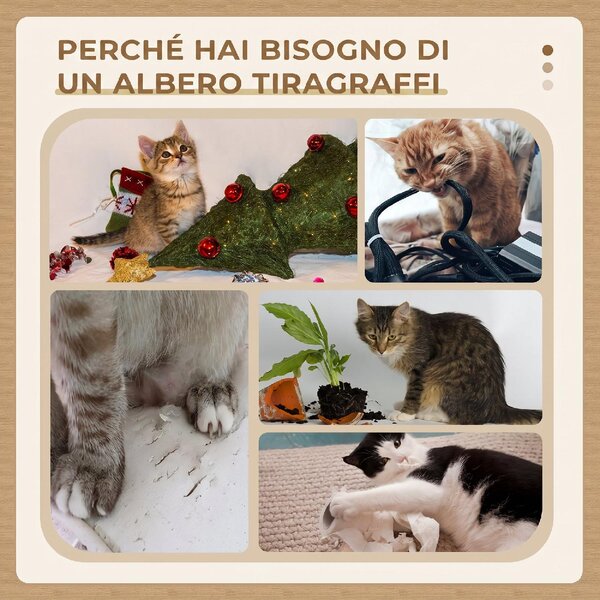 AllMyPets Albero Tiragraffi per Gatti con Lettino Rivestimento Peluche e Palo in Sisal 45x45x91 cm colore Crema