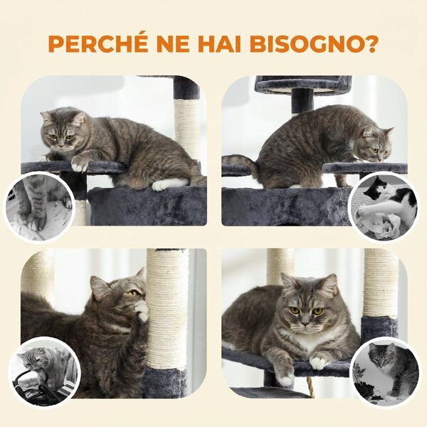 AllMyPets Albero Tiragraffi per Gatti Alto con Casette e Amache 60x60x200 cm colore Grigio Scuro