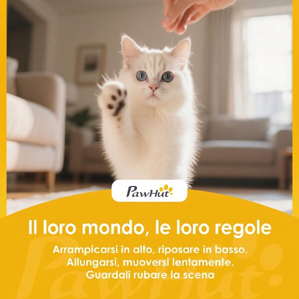 AllMyPets Albero Tiragraffi per Gatti Alto con Casette e Amache 60x60x200 cm colore Grigio Scuro