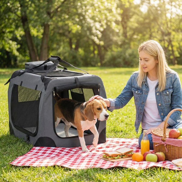 Costway Trasportino per cani e gatti con 2 tasche portaoggetti e 2 manici, Borsa per cani con morbido cuscino parte superiore apribile M Grigio