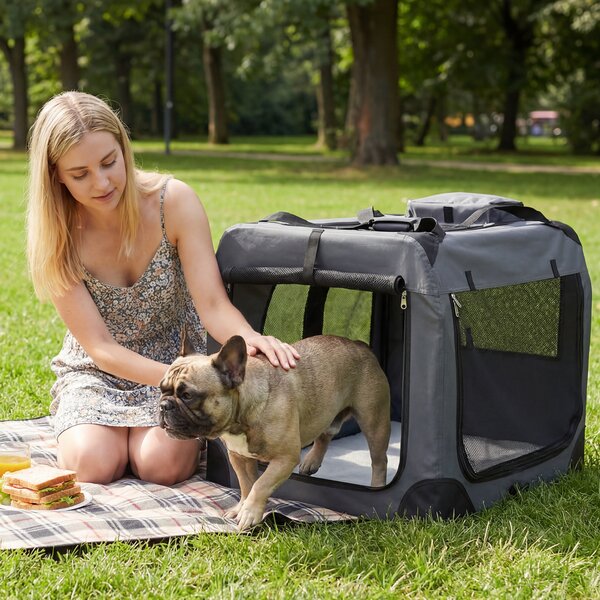 Costway Trasportino per cani e gatti con 2 tasche portaoggetti e 2 manici, Borsa per cani con morbido cuscino parte superiore apribile L Grigio