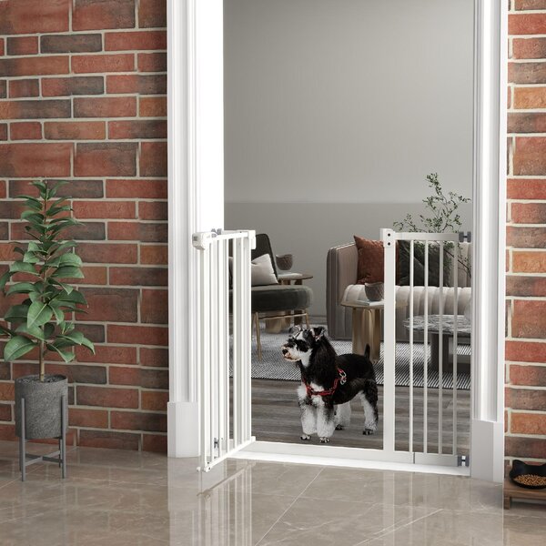 AllMyPets Cancellino per Cani Regolabile con Chiusura Automatica in Acciaio e Plastica 74-100x77 cm colore Nero