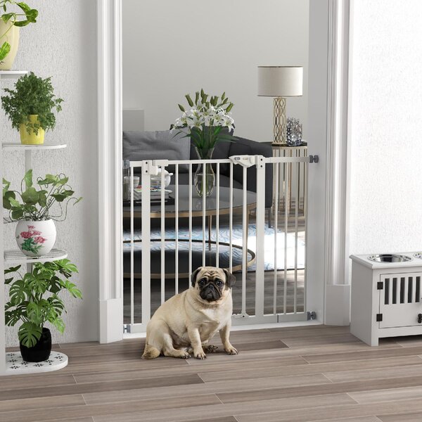 AllMyPets Cancellino per Cani Regolabile con Chiusura Automatica in Acciaio e Plastica 74-100x77 cm colore Nero