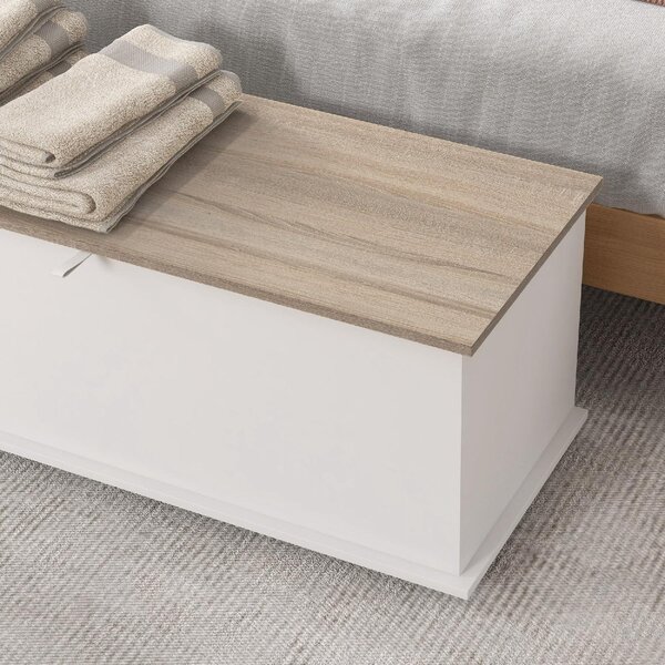 DecHome Cassapanca in Legno Panca Contenitore Dimensioni 100x40x40 cm colore Bianco