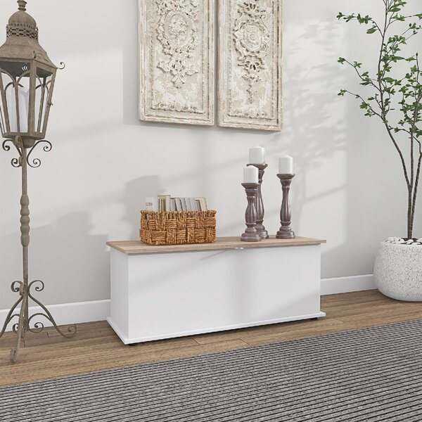 DecHome Cassapanca in Legno Panca Contenitore Dimensioni 100x40x40 cm colore Bianco