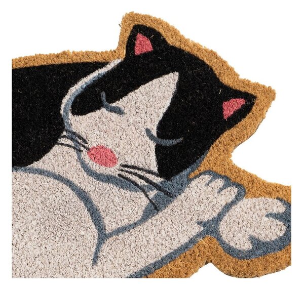 Zerbino in fibre di cocco 40x60 cm Cat – Casa Selección