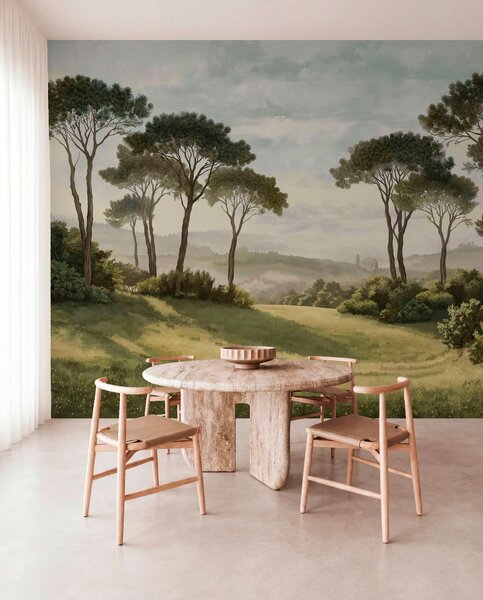 Carta da parati Paesaggio con alberi, prato e foschia in lontananza, Carta da parati Natura, w05122v1 : Uwalls.it
